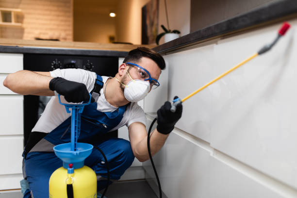 Best Flea Control Services  in Wilber, NE