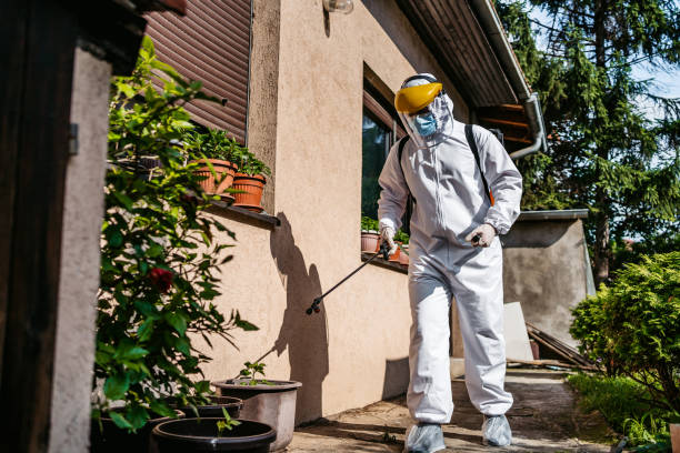 Best Pest Removal Services  in Wilber, NE