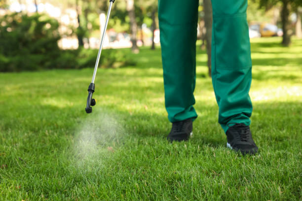 Best Local Pest Control Services  in Wilber, NE