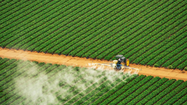 Professional Pest Control in Wilber, NE