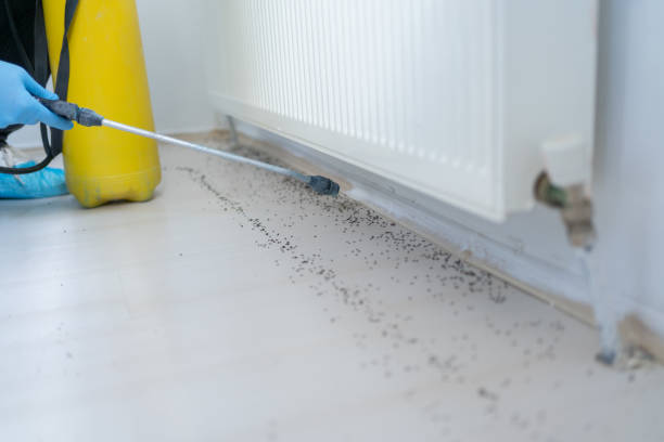 Best Pest Prevention Services  in Wilber, NE