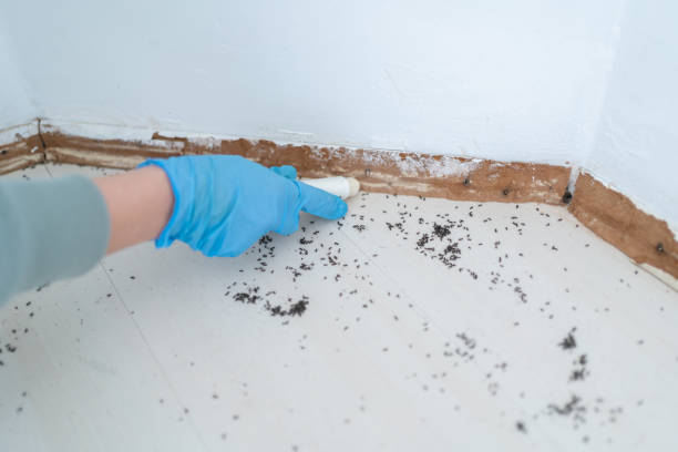 Best Commercial Pest Control Services  in Wilber, NE