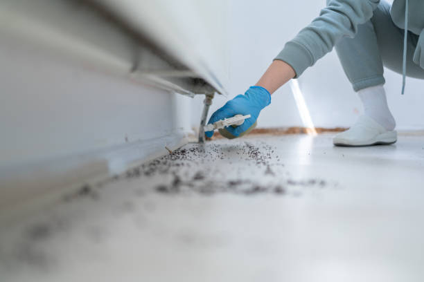 Best Affordable Pest Control Services  in Wilber, NE